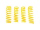 Ford Ranger Raptor EU Lift 1,75" Coil Spring Kit Red Springs