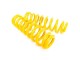 Isuzu D Max Double Cab Lift 2" Suspension Kit Red Springs