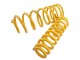 Isuzu D Max Double Cab Lift 2" Suspension Kit Red Springs