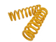 Isuzu D Max Mk3 Double Cab Lift 2" Suspension Kit Red Springs
