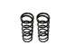 Jeep Grand Cherokee ZJ / Jeep Cherokee XJ Lift 2" Front Coil Springs Pro Ride BDS