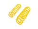 Ford Ranger Raptor EU Lift 1,75" Rear Coil Springs Red Springs